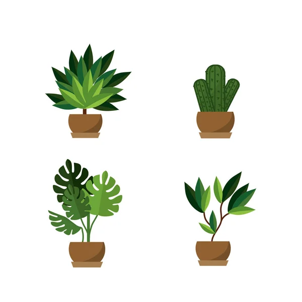Növények Kert Jellege Dekoráció Téma Vektoros Illusztráció — Stock Vector
