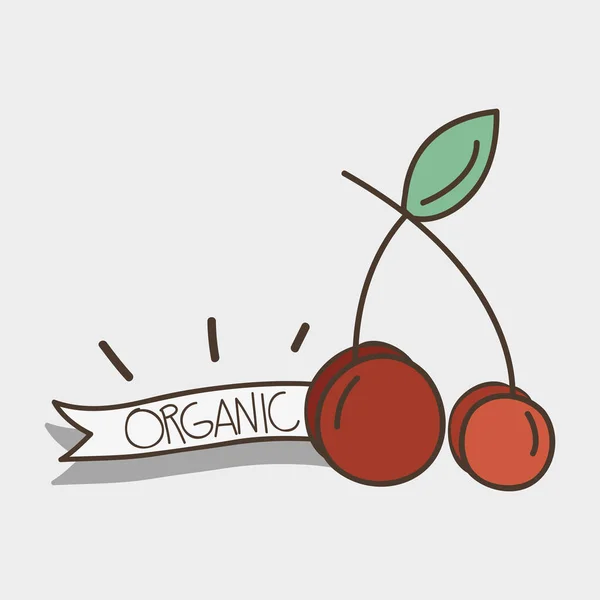 Φρούτα Φρέσκα Κεράσι Όργανο Κορδέλα Εικονογράφηση Διάνυσμα — Διανυσματικό Αρχείο