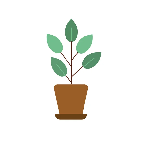 Natural Plant Leaves Flowerpot Vector Illustration — Stock Vector