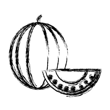 Şekil lezzetli dilim karpuz meyve vitamin ve protein vektör çizim ile