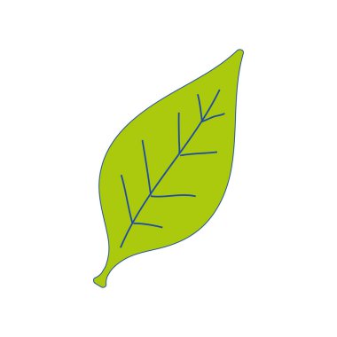 doğal tropikal yaprak ve egzotik dekorasyon illüstrasyon vektör