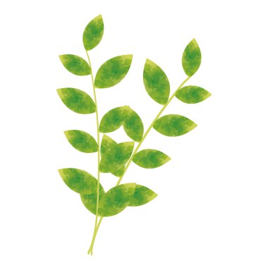 suluboya dalları boya sanat, vektör çizim tasarım