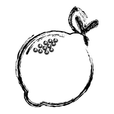 kontur tadı limon sebze simgesi, vektör çizim