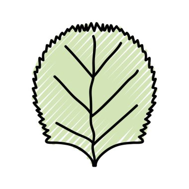 güzel organik leaf bitki, vektör çizim tasarım