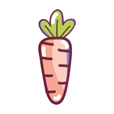 Sağlık havuç sebze kutsal kişilerin resmi, vektör çizim tasarım