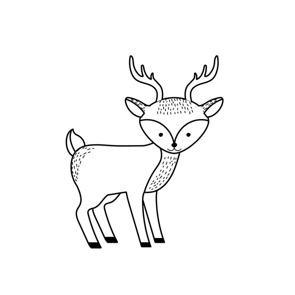 Line Cute Deer Wild Animal Icon Vector Illustration — Stock Vector