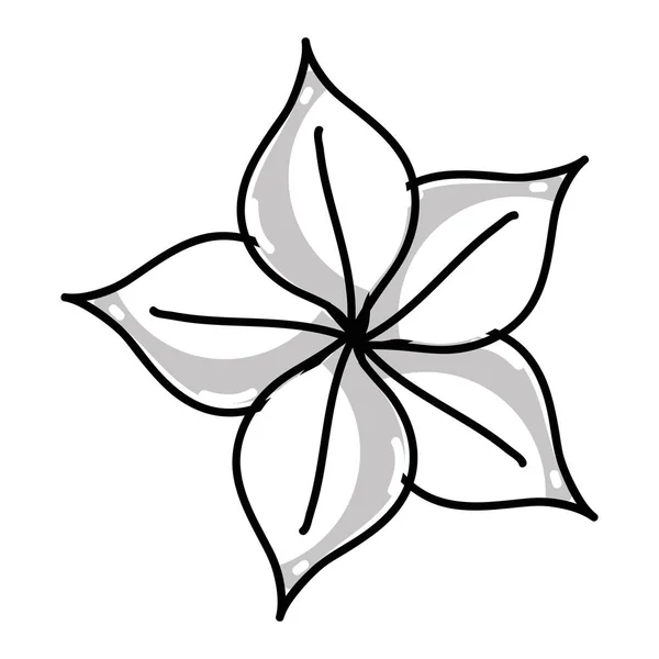 Силуэт Хороший Органические Листья Растение Векторная Иллюстрация Дизайн — стоковый вектор