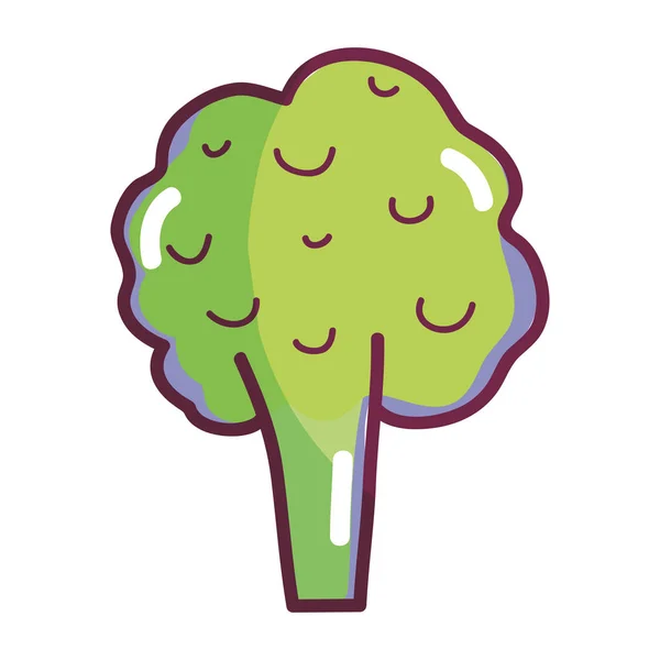 Desenho vegetal brócolis desenhos animados imagem vetorial de yupiramos©  135396710