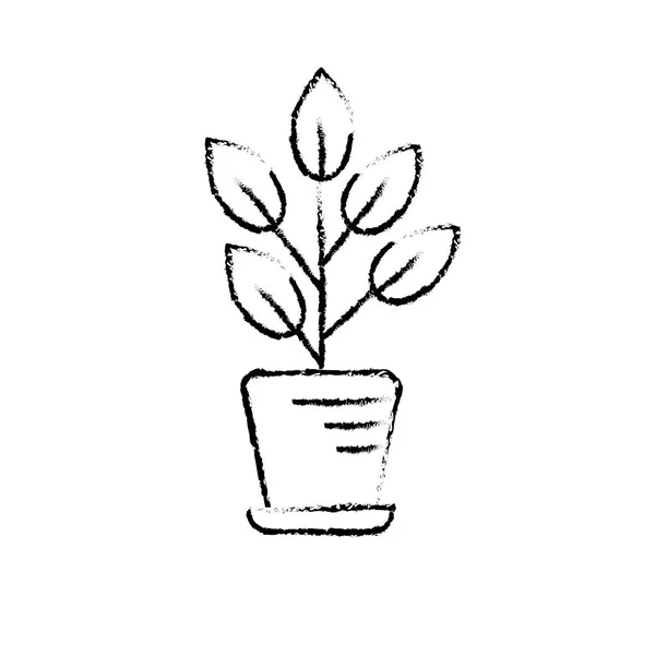 Figur Naturliga Växt Med Blad Släpper Blomkruka Vektorillustration — Stock vektor