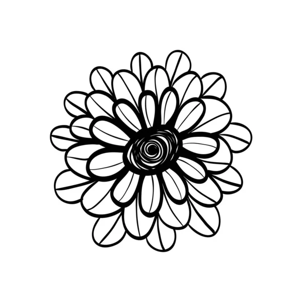 Schönheit Rose Mit Natürlichen Blütenblättern Vektor Illustration Design — Stockvektor