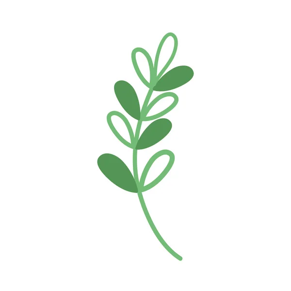 Branche Silhouette Avec Feuilles Dessin Végétal Naturel Illustration Vectorielle — Image vectorielle