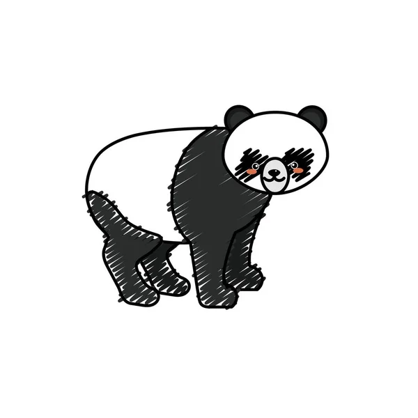 Niedlicher Panda Wildes Tier Ikone Vektor Illustration — Stockvektor