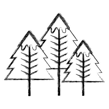 Şekil güzellik doğal çam ağacı tasarlamak vektör