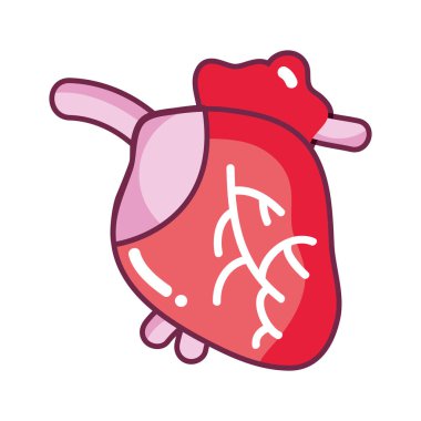kan dolaşımı ile kalp organ damarlar vektör çizim için