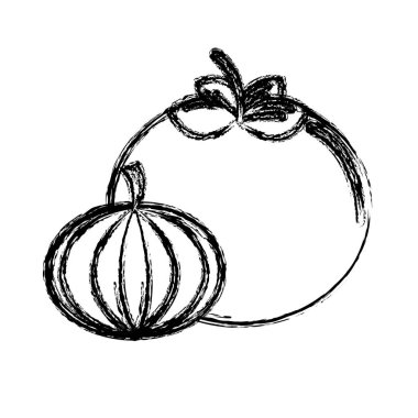 kontur domates ve sarımsak sebze kutsal kişilerin resmi, vektör çizim tasarım