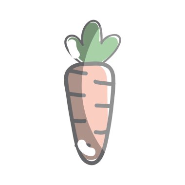 Sağlık havuç sebze kutsal kişilerin resmi, vektör çizim tasarım