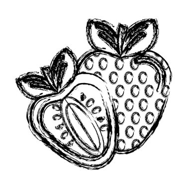 kontur çilek meyve simge stok, vektör çizim tasarım görüntü