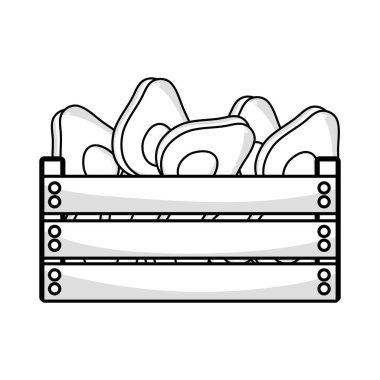 satır lezzetli avokado meyve sepeti vektör çizim içinde