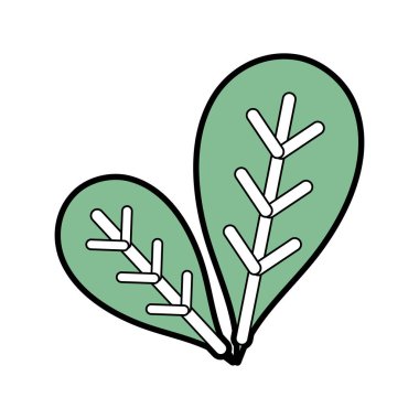 Botanik ekoloji bakım simge vektör çizim için yaprakları