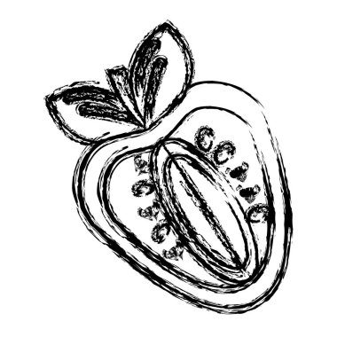 kontur çilek meyve simge stok, vektör çizim tasarım görüntü