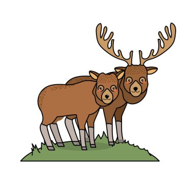 sevimli geyik hayvan çift birlikte vektör çizim