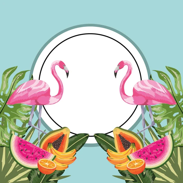 Circle Sticker Flamingo Tropical Fruits Vector Illustration — Stock Vector