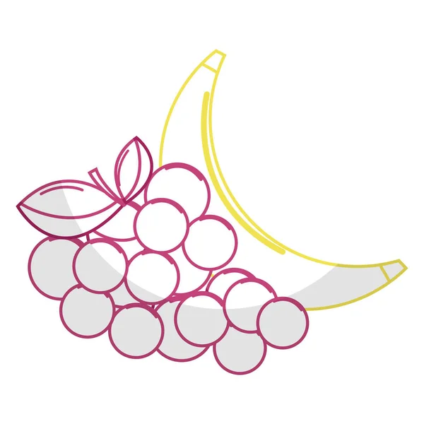 Silueta Delicioso Plátano Fruta Uva Vector Ilustración — Archivo Imágenes Vectoriales