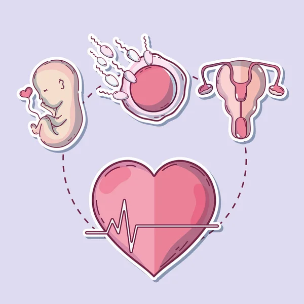 Bebê Dentro Útero Ovário Com Ilustração Vetor Espermatozóide —  Vetores de Stock