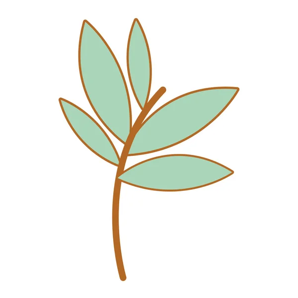 Plants Leaves Icon Image Vector Illustration Design — Stock Vector