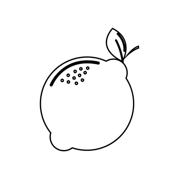 Silhouette Zitrone Frucht Symbol Lager Vektor Illustration Design Bild — Stockvektor