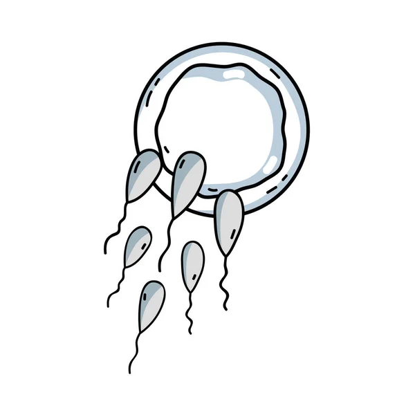 Linie Spermatozoon Fortpflanzung Befruchtung Eizellen Vektor Illustration Symbol — Stockvektor