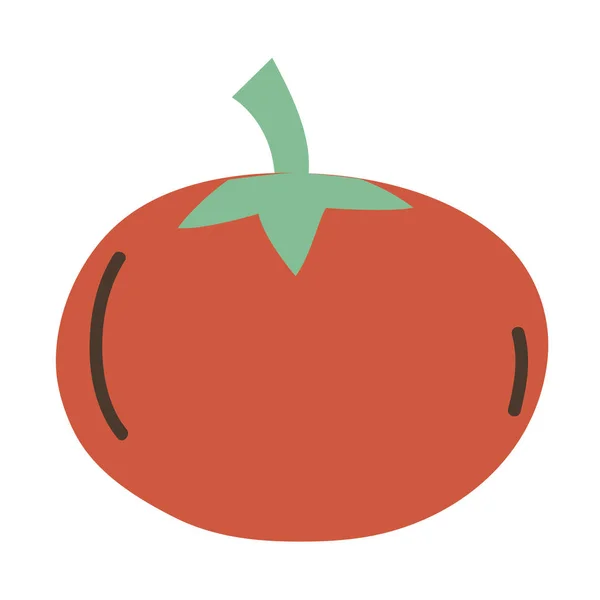 Delicious Fresh Tomato Organic Vegetable Vector Illustration — Stock Vector