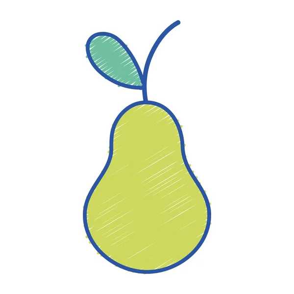 Delicious Pear Fruit Protein Nutrition Vector Illustration — Stock Vector