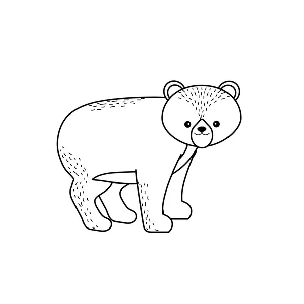 Linie Niedlich Bär Wild Tier Symbol Vektor Illustration — Stockvektor