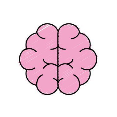 beyin insan anatomisi organ zekası vektör çizim