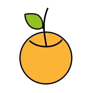 lezzetli taze turuncu meyve beslenme vektör çizim