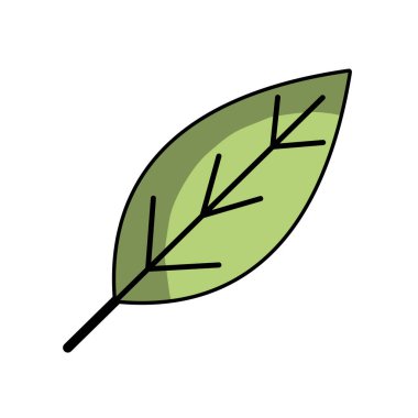 doğal yaprak sembol koruma çevre vektör çizim için