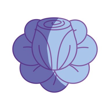 güzel yaprakları bitki botanik, vektör çizim çiçek