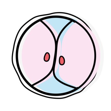 Biyoloji Genetik embriyo hücreleri bölme vektör çizim