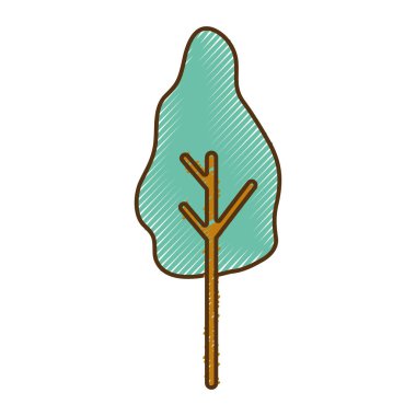 doğal ağaç botanik simgeler vektör çizim ile