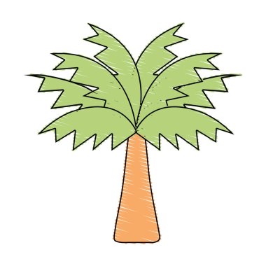 palmiye ağacı yaprak ve bitki örtüsü vektör çizim ile