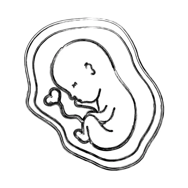 Figur Baby Mit Nabelschnur Uterus Vektor Illustration — Stockvektor