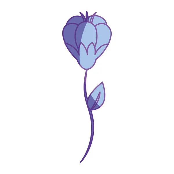 Красива Квітка Пелюстками Ботанічна Рослина Векторні Ілюстрації — стоковий вектор