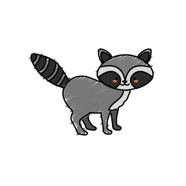 Cute Raccoon Wild Animal Icon Vector Illustration — Stock Vector