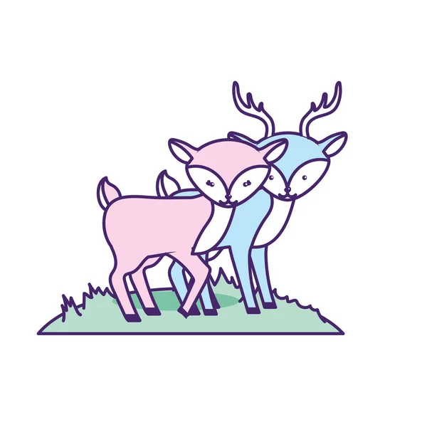 Cute Deer Animal Couple Together Vector Illustration — Stock Vector