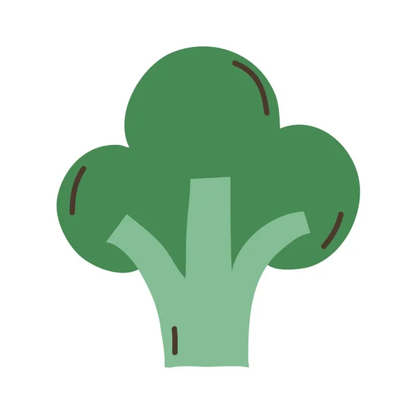 Delizioso Broccolo Fresco Biologico Vegetale Illustrazione Vettoriale — Vettoriale Stock