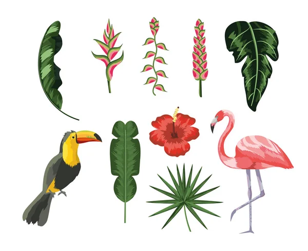 Állítsa Tukán Flamingó Trópusi Levelek Vektoros Illusztráció — Stock Vector