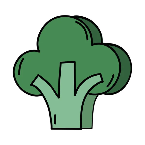 Delicioso Brócoli Fresco Vegetal Orgánico Vector Ilustración — Archivo Imágenes Vectoriales