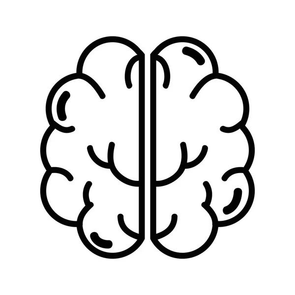 Figura Cerebro Creativo Mental Saludable Ilustración Vectorial — Archivo Imágenes Vectoriales