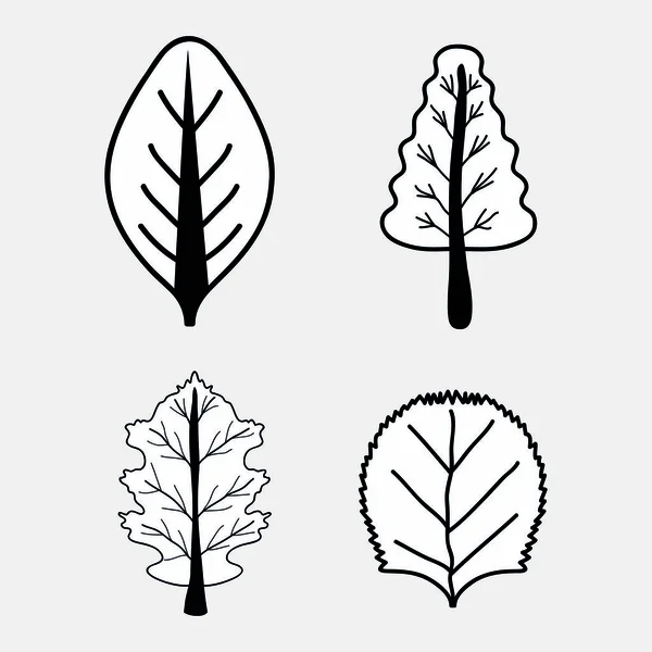 Ağaçların Yaprakları Vektör Çizim Tasarımı Ile Güzel Dizi — Stok Vektör